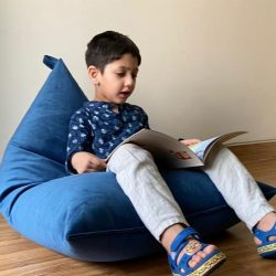 Aqua BeanBag + Bookshelf Combo