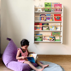 Lilac BeanBag + Bookshelf Combo