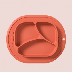 2 in 1 Safe Silicone Divided Placemat Plate – Orange